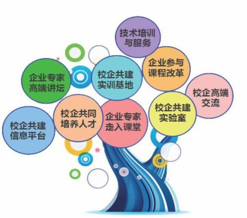 三门峡职业技术学院 计算机软件技术开发专业的优势与前景